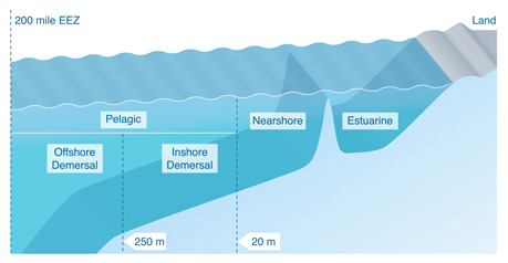 illustration diagram showing groups of fishes and different depths and distances from shore